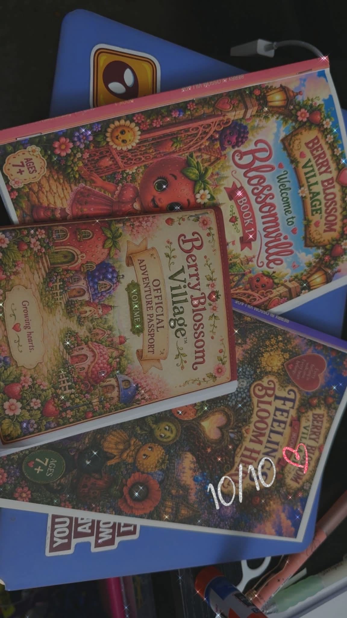 Regular Berry Blossom Village book bundle